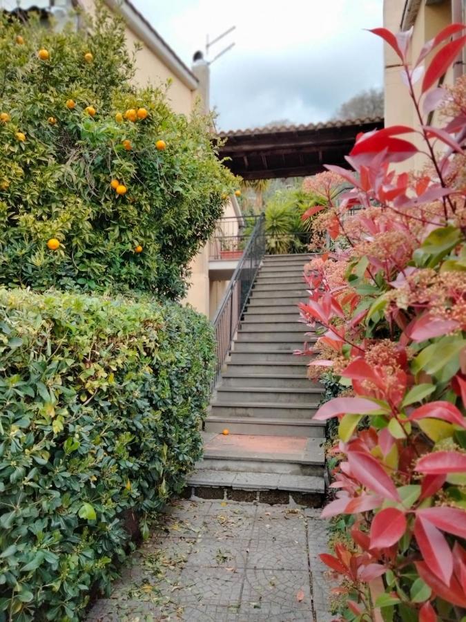 Sguardo Sul Lago Trevignano Romano Extérieur photo