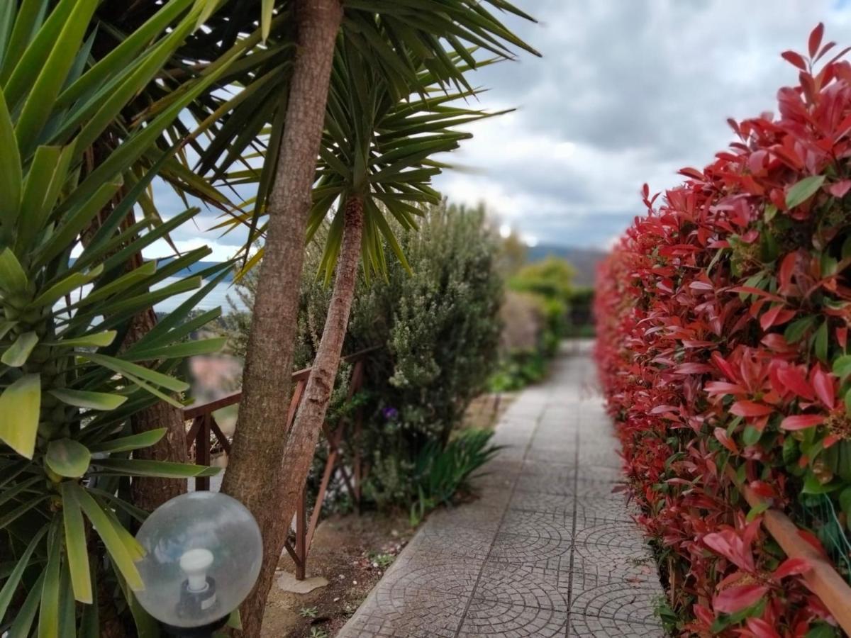 Sguardo Sul Lago Trevignano Romano Extérieur photo